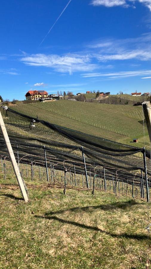 Weinberg Apartment Leutschach Eksteriør bilde